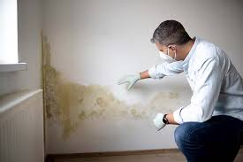 Mold Remediation for Vacation Homes in Gervais, OR